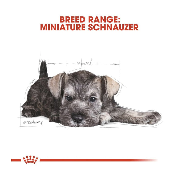 Royal Canin Miniature Schnauzer Puppy Food Dry