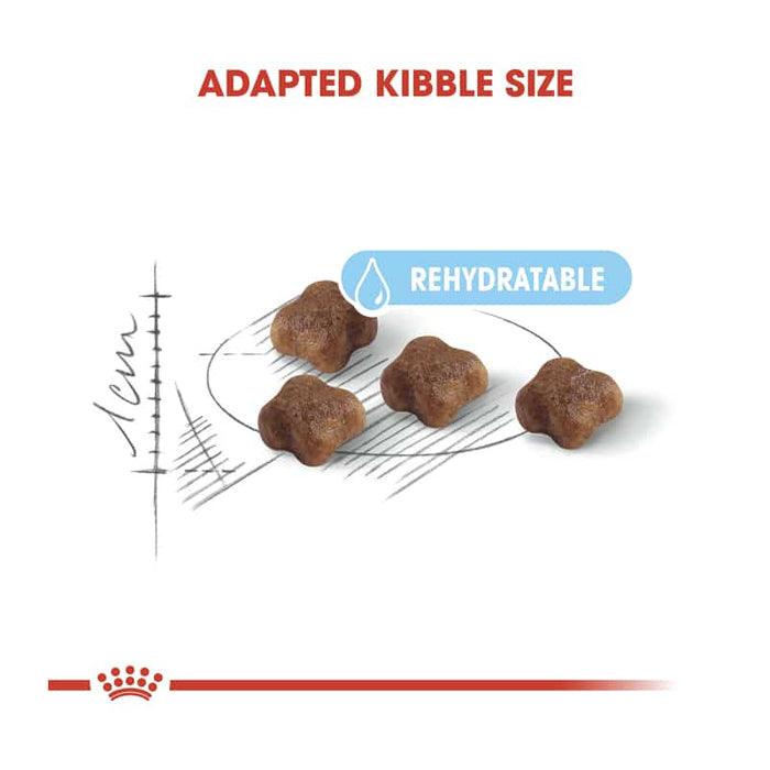 ROYAL CANIN Mother & Babycat Dry Cat & Kitten Food