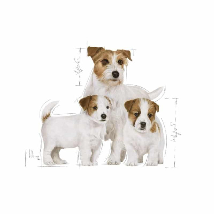 ROYAL CANIN Mother & Babydog Starter Wet Puppy Food Mousse (12 x 195g)