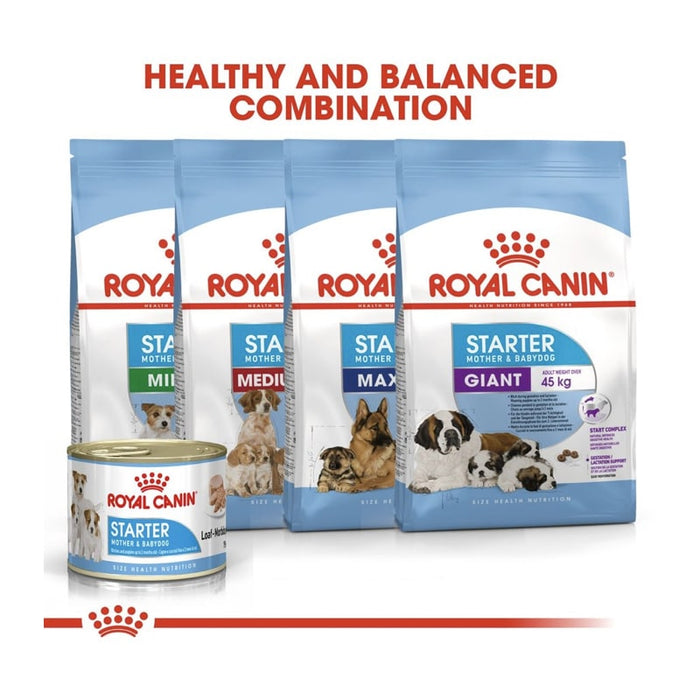 ROYAL CANIN Mother & Babydog Starter Wet Puppy Food Mousse (12 x 195g)