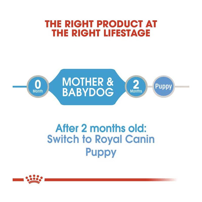 ROYAL CANIN Mother & Babydog Starter Wet Puppy Food Mousse (12 x 195g)