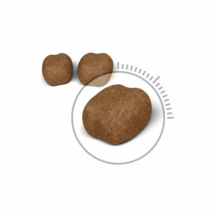 ROYAL CANIN Oral Care Adult Dry Cat Food