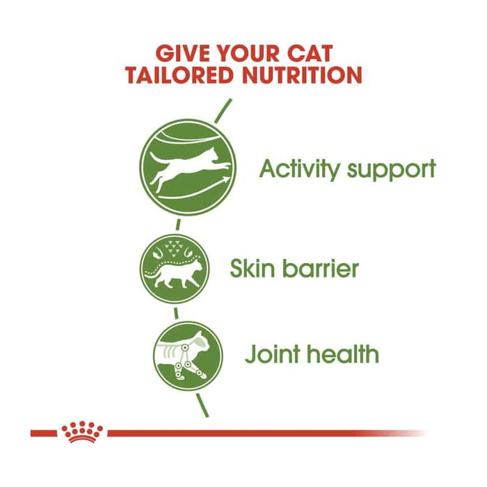 ROYAL CANIN Outdoor Adult Dry Cat Food