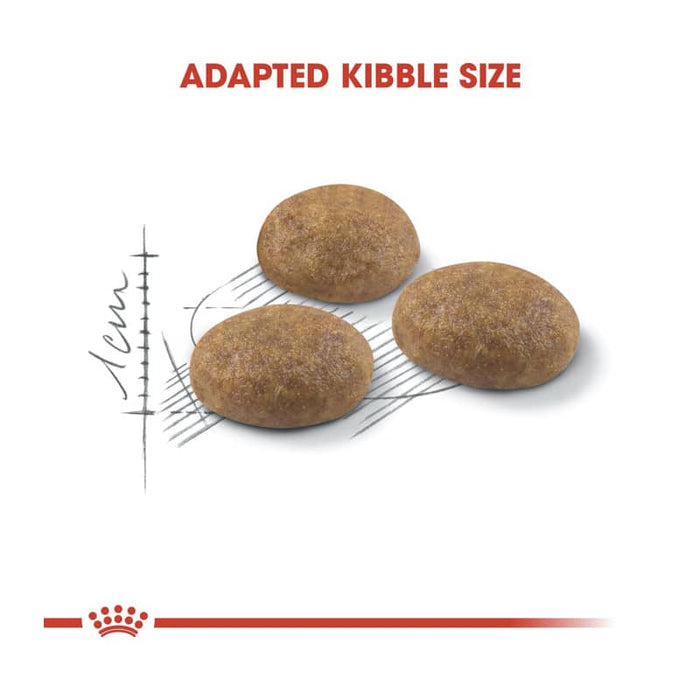 ROYAL CANIN Outdoor Adult Dry Cat Food