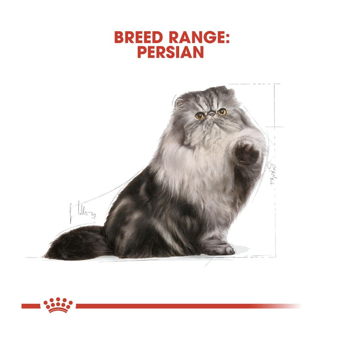 ROYAL CANIN Persian Adult Dry Cat Food