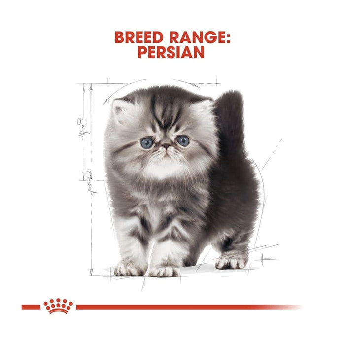 ROYAL CANIN Persian Dry Kitten Food