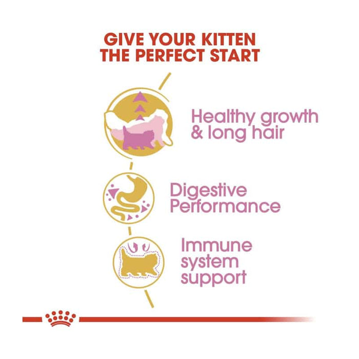 ROYAL CANIN Persian Dry Kitten Food