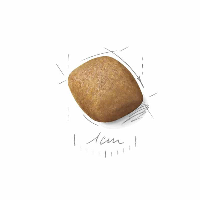 Royal Canin Pomeranian Adult Dog Food Dry