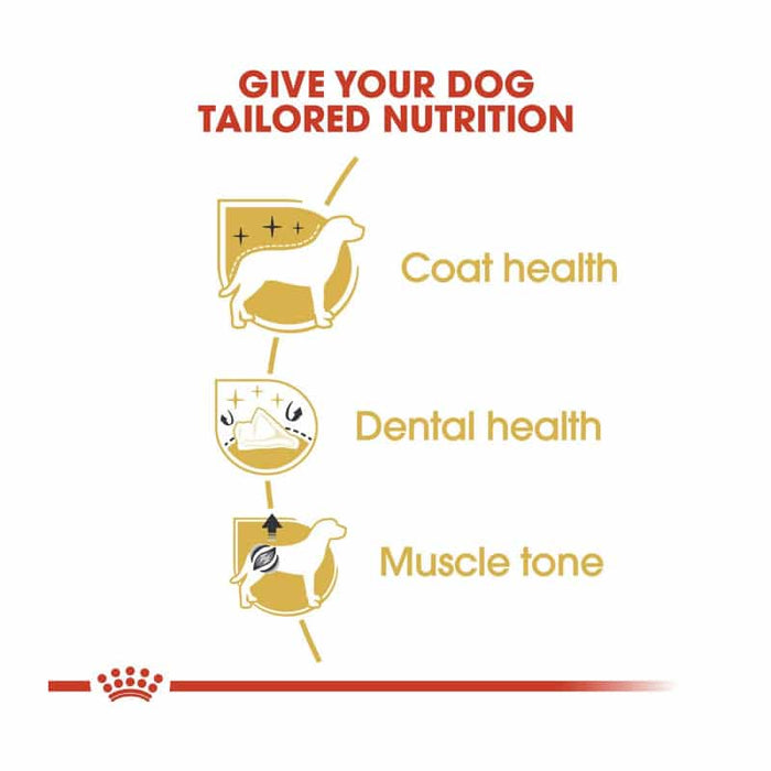 Royal Canin Poodle Adult Dog Food Dry