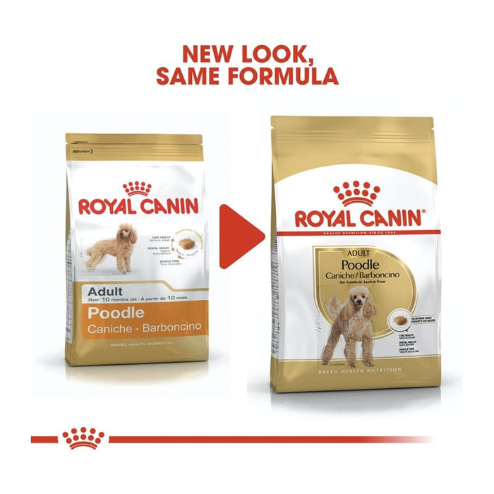 Royal Canin Poodle Adult Dog Food Dry