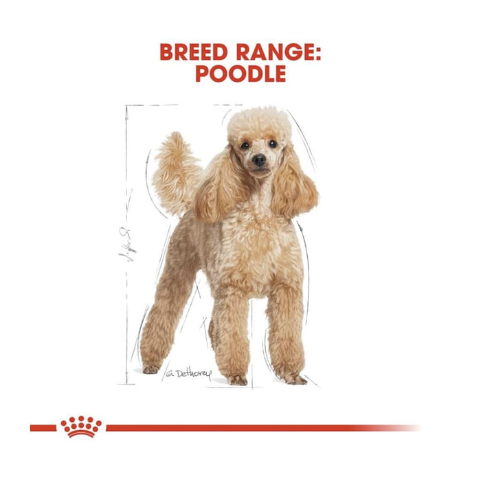 ROYAL CANIN Poodle Adult Wet Dog Food Pouch (12 x 85g)