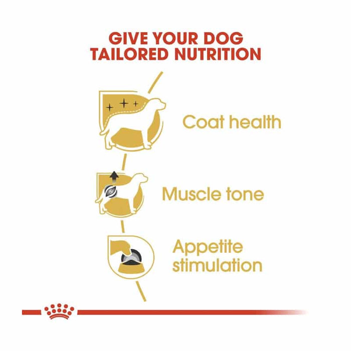 ROYAL CANIN Poodle Adult Wet Dog Food Pouch (12 x 85g)