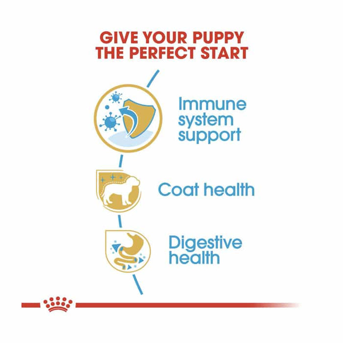 Royal Canin Poodle Puppy Food Dry