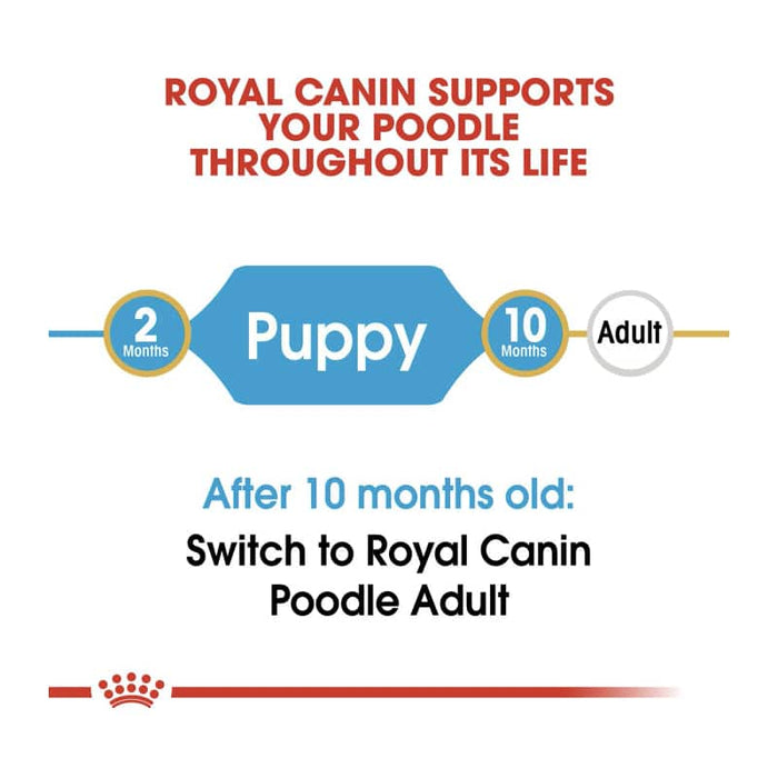 Royal Canin Poodle Puppy Food Dry