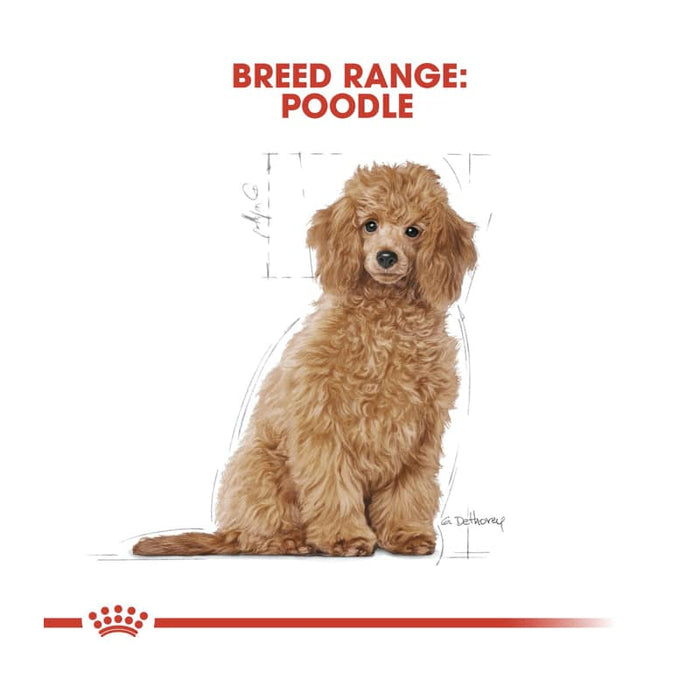 Royal Canin Poodle Puppy Food Dry