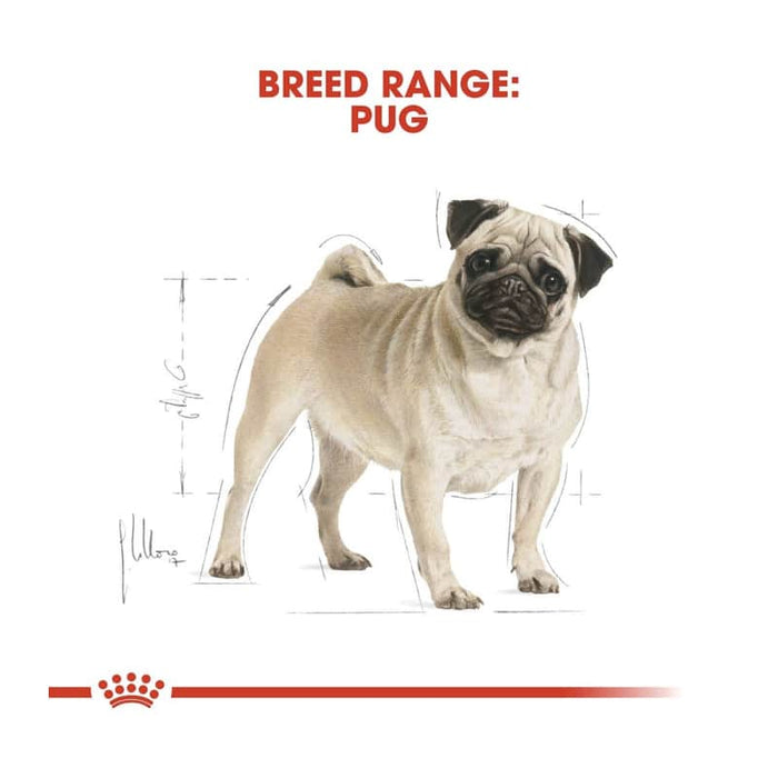 Royal Canin Pug Adult Dog Food Dry
