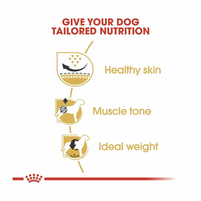 Royal Canin Pug Adult Dog Food Dry