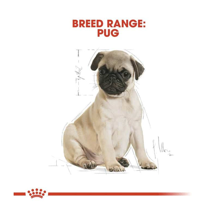Royal Canin Pug Puppy Food Dry