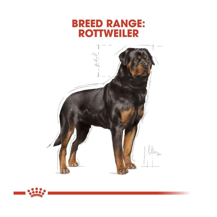 Royal Canin Rottweiler Adult Dog Food Dry
