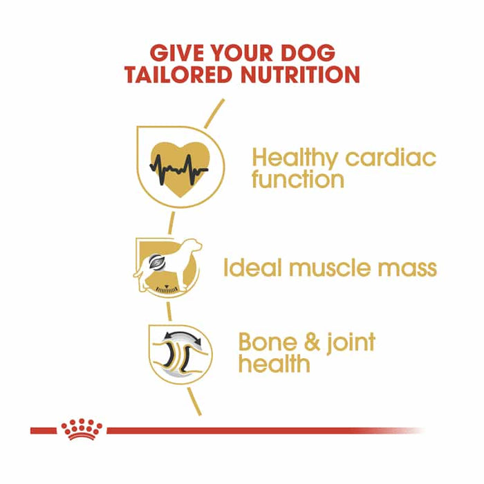 Royal Canin Rottweiler Adult Dog Food Dry