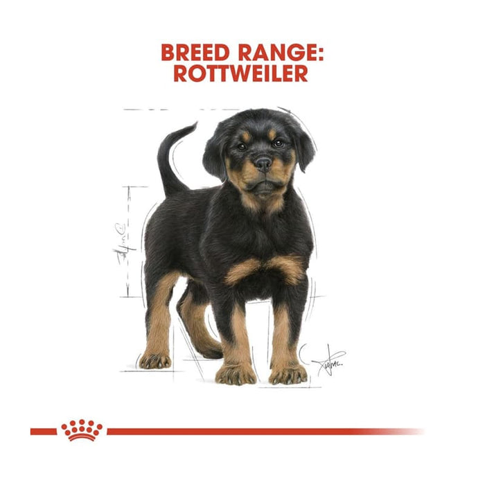 Royal Canin Rottweiler Puppy Food Dry