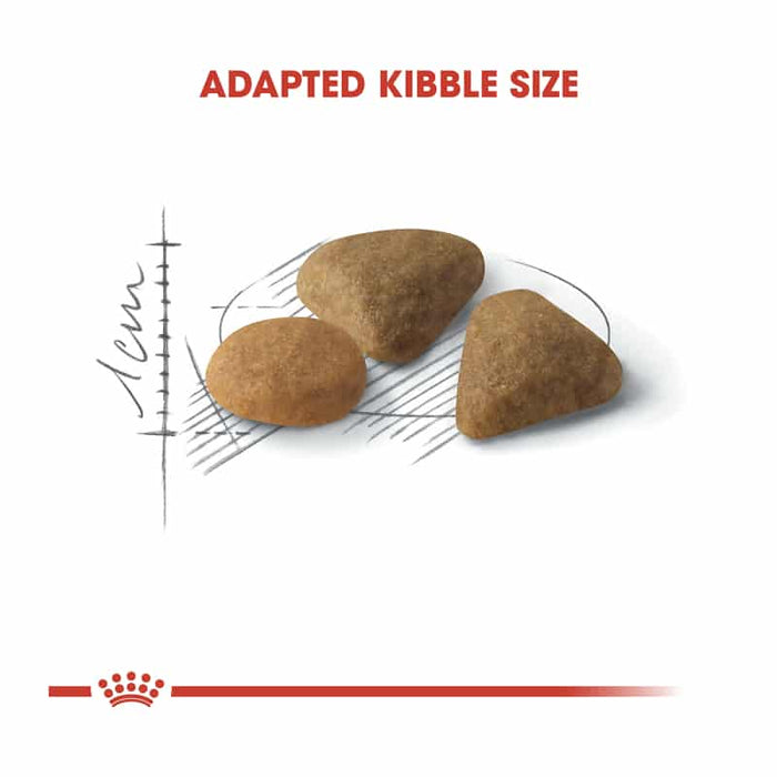 ROYAL CANIN Savour Exigent Adult Dry Cat Food