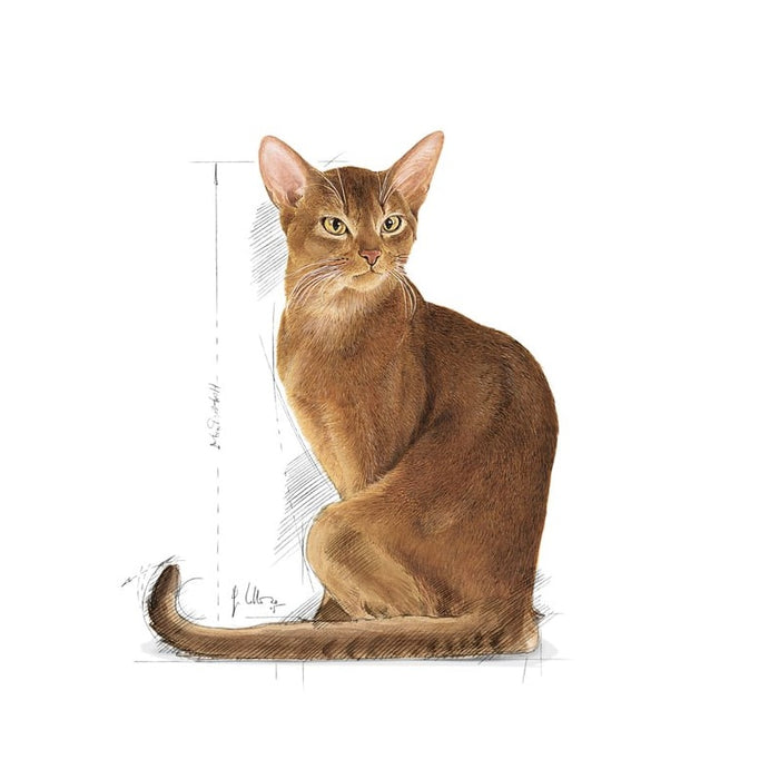 ROYAL CANIN Savour Exigent Adult Dry Cat Food