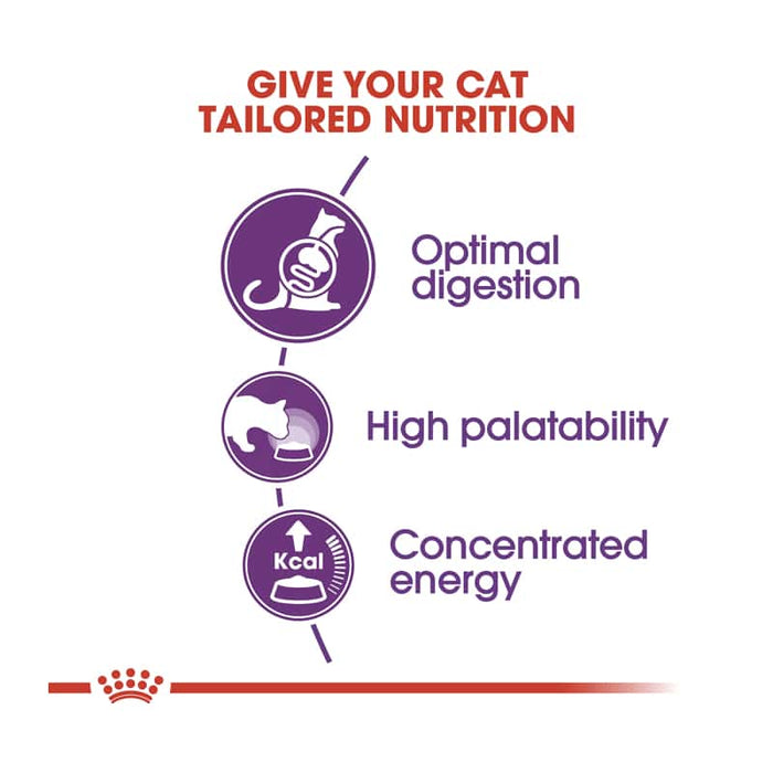 ROYAL CANIN Sensible 33 Adult Dry Cat Food