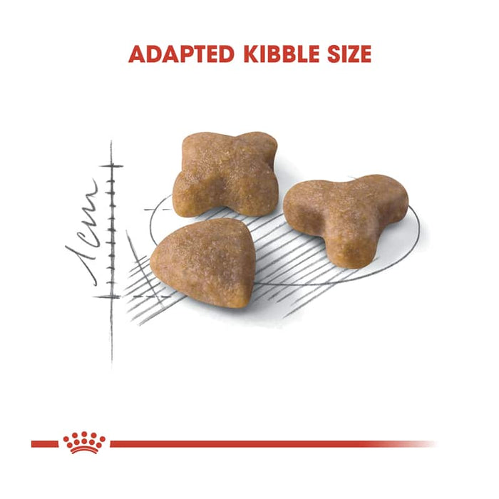 ROYAL CANIN Sensible 33 Adult Dry Cat Food