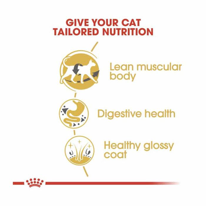 ROYAL CANIN Siamese Adult Dry Cat Food