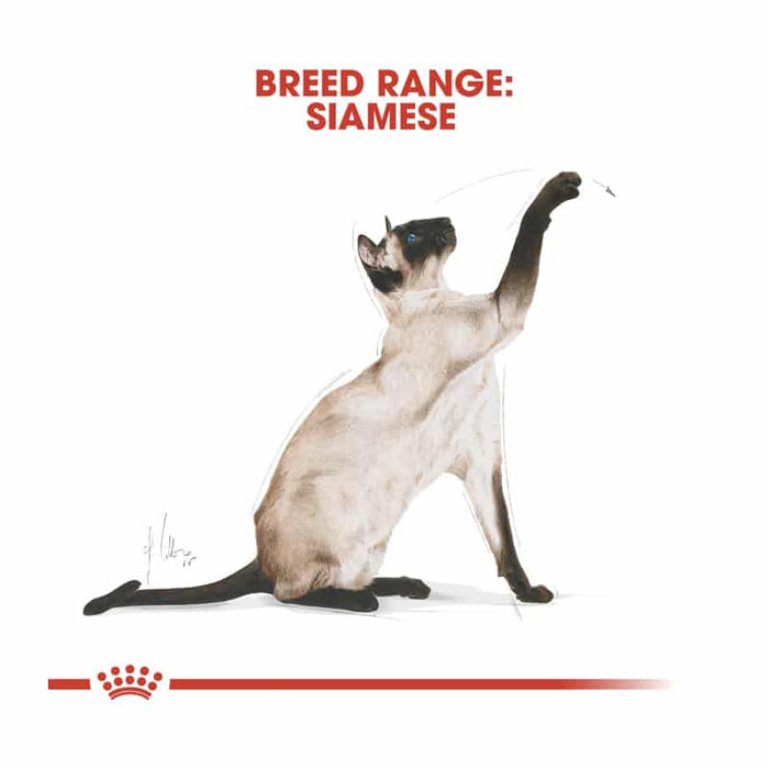 ROYAL CANIN Siamese Adult Dry Cat Food