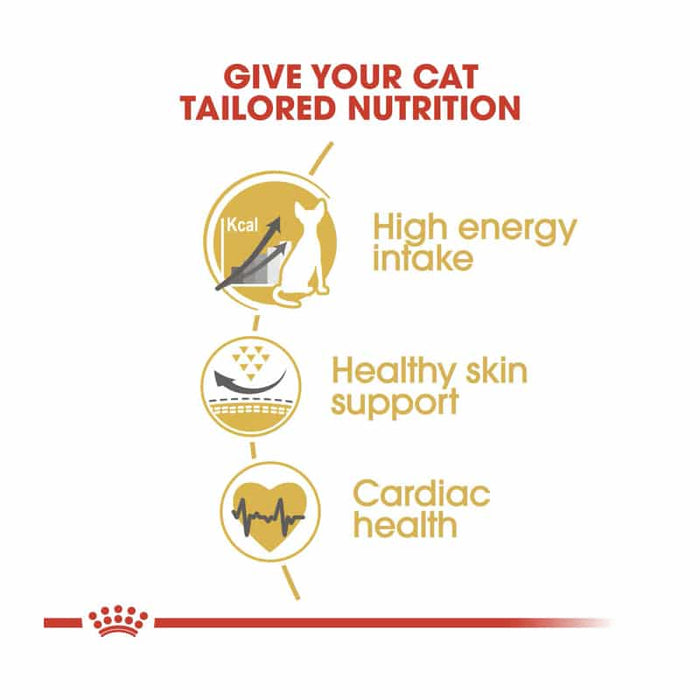 ROYAL CANIN Sphynx Adult Dry Cat Food