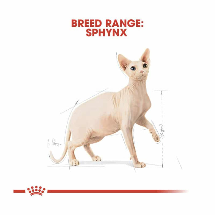 ROYAL CANIN Sphynx Adult Dry Cat Food