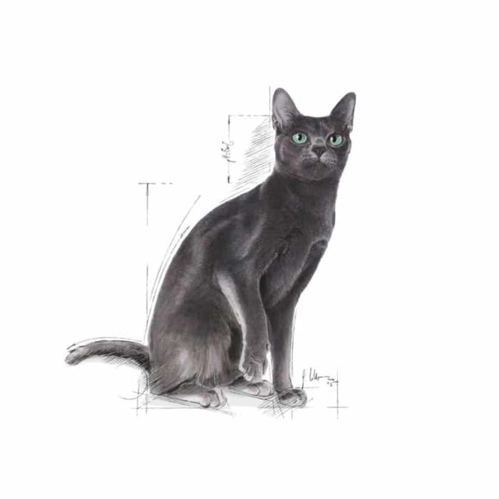 ROYAL CANIN Sterilised Adult Dry Cat Food