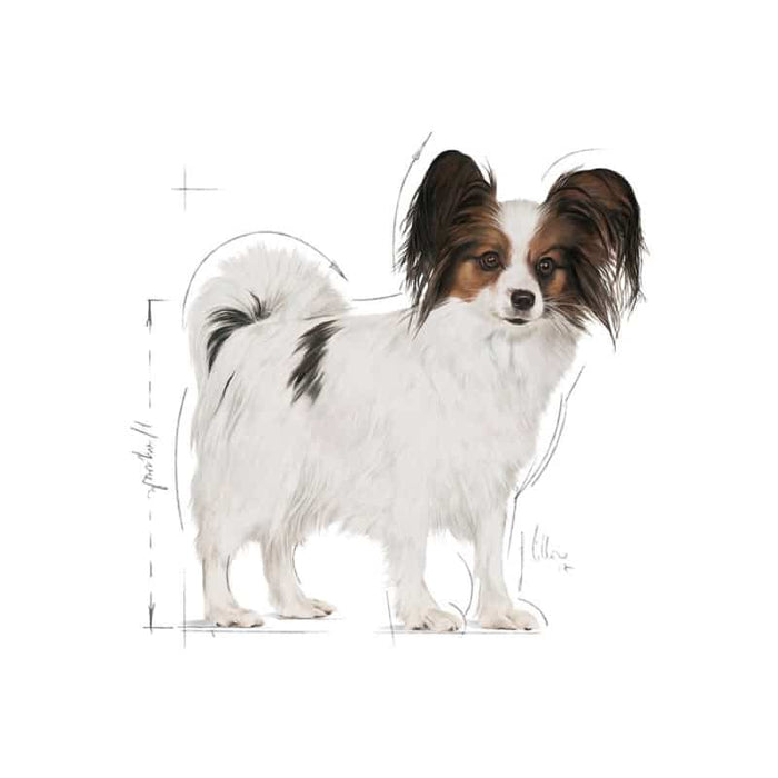 Royal Canin X-Small Adult Dog Food Dry