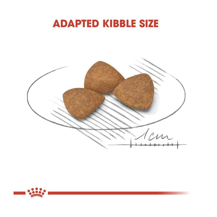 Royal Canin X-Small Ageing Dog Food 12+ Dry