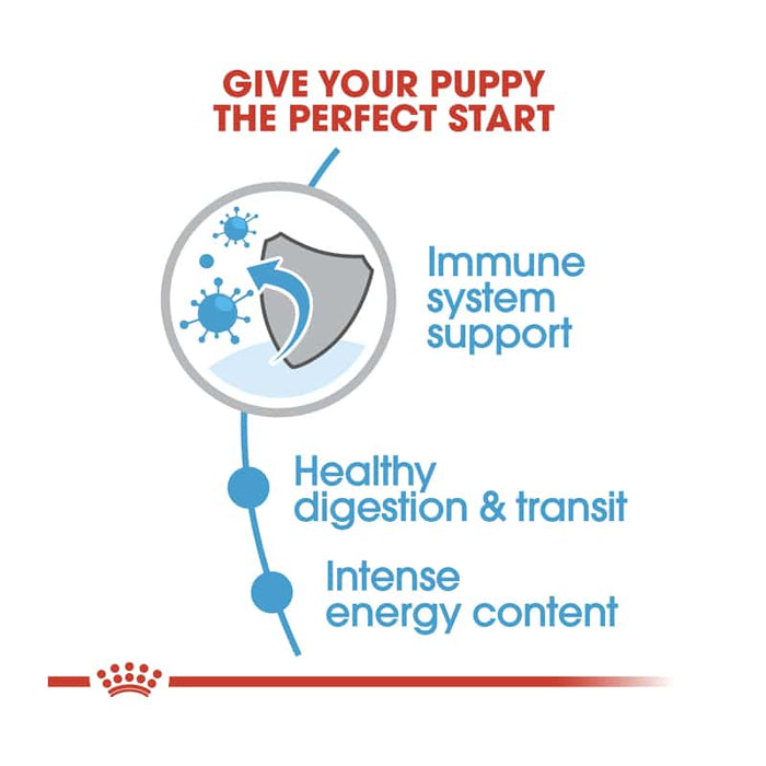 Royal Canin X-Small Puppy Food Dry