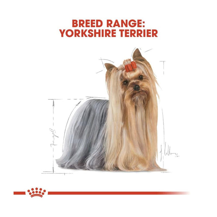 Royal Canin Yorkshire Terrier Adult Dog Food Dry