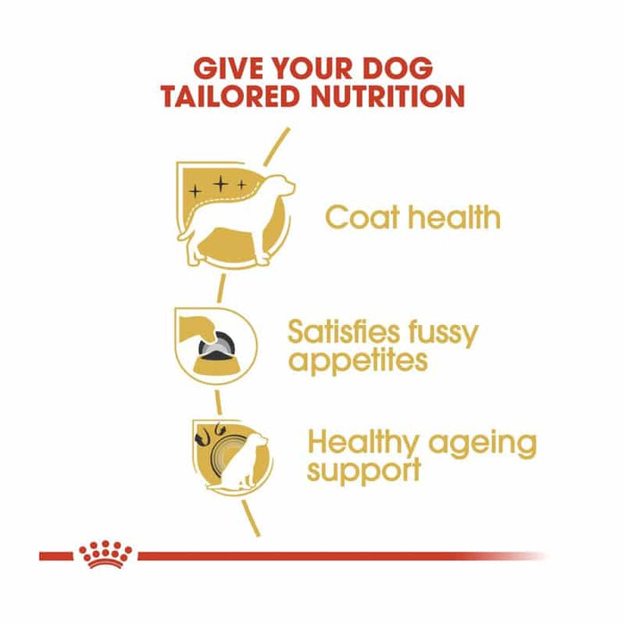 Royal Canin Yorkshire Terrier Adult Dog Food Dry