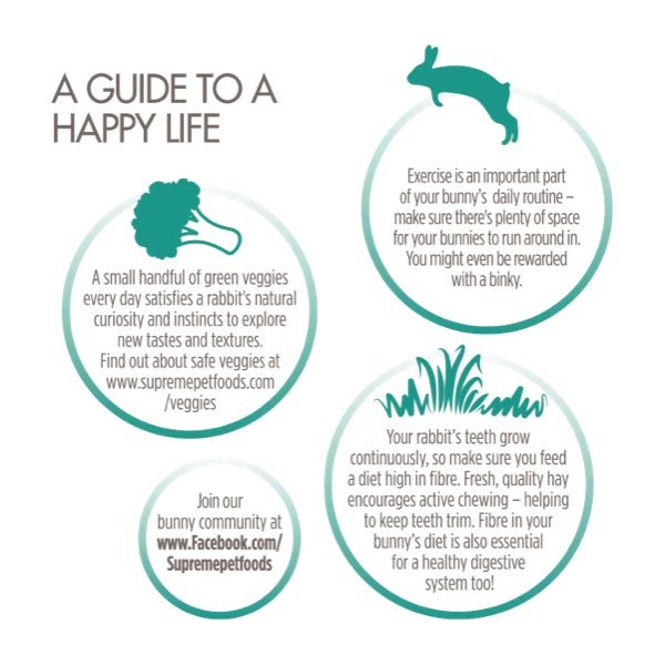 Science Selective Adult Rabbit Food 1.5KG