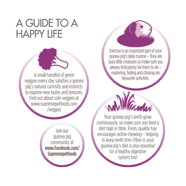 Science Selective Guinea Pig Food 1.5KG