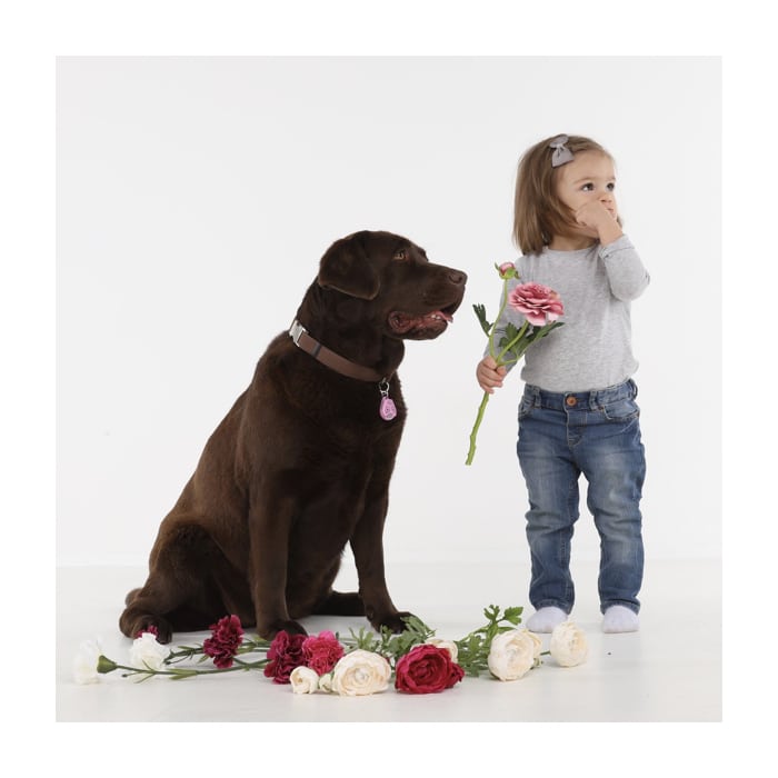 TICKLESS® Pet Ultrasonic Tick & Flea Repeller