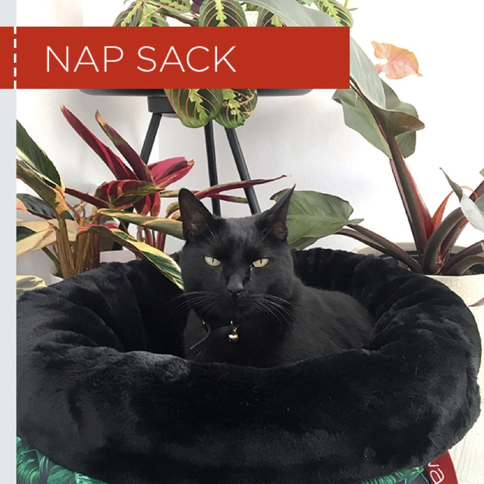 Wagworld Nap Sack