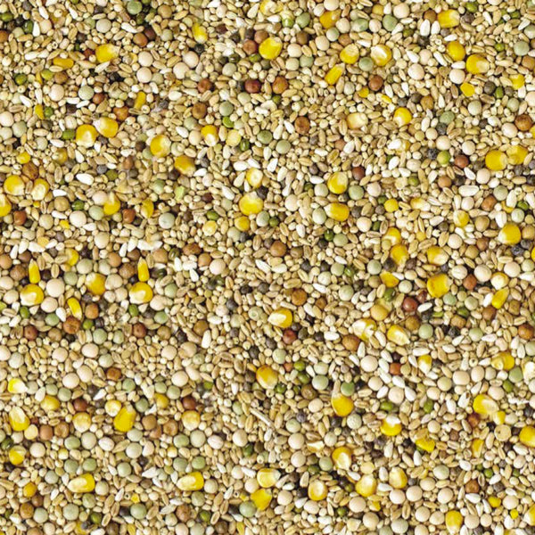 Westerman's Gold Standard Premium Breeding Pigeon Mix - 20KG