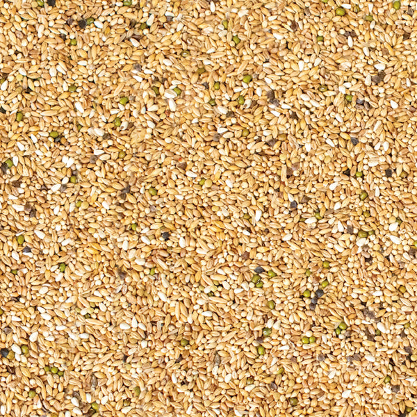 Westerman's Gold Standard Premium Depurative Pigeon Mix - 20KG