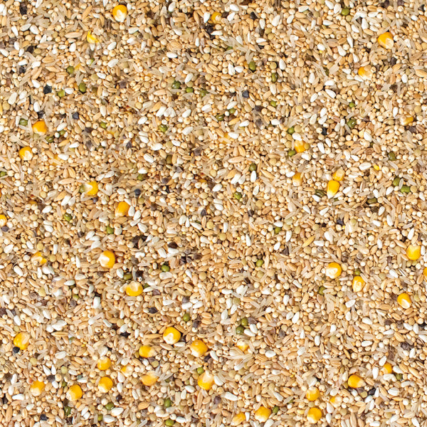 Westerman's Gold Standard Premium Diet Extra Pigeon Mix - 20KG