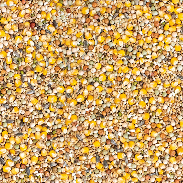 Westerman's Gold Standard Premium Moulting Pigeon Mix - 20KG