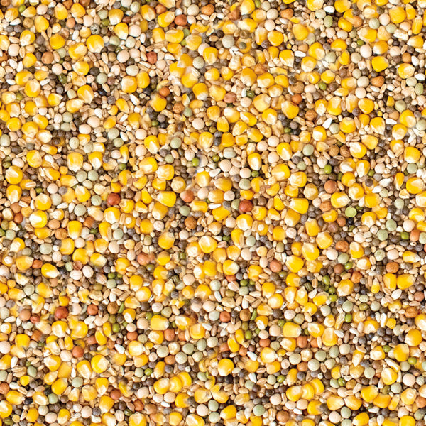 Westerman's Gold Standard Premium Racing Pigeon Mix - 20KG