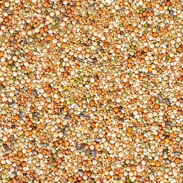 Westerman's Gold Standard Premium Young Bird Pigeon Mix 20KG