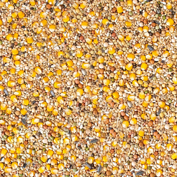 Westerman's Gold Standard Premium Young Racing Pigeon Mix - 20KG